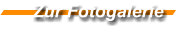 Zur Fotogalerie